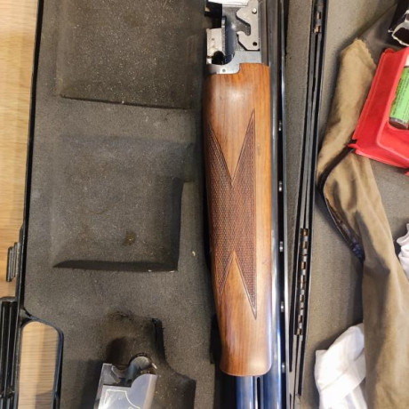 Vendo una browning ultra sporter, 71 de cañón chokes intercambiables gatillo regulable ,maletín y accesorios.
Lleva 10