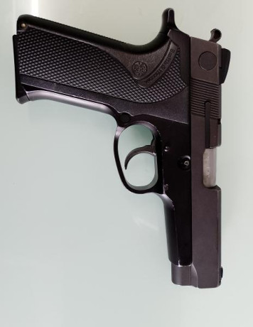Se vende pistola s&w 910, en 9mm parabellum.
Un cargador.
En buen estado de funcionamiento.
Precio 02