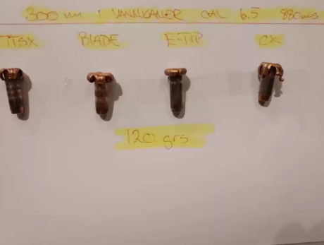 Buenas, me gustaría que alguien me aclarara una duda entre dos balas aparentemente iguales. Se trata de 31