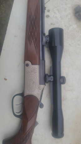 Vendo un billing Blaser del cal. 243 y 12 de escopeta. Está en óptimas condiciones tanto de ajuste,  pavón 02