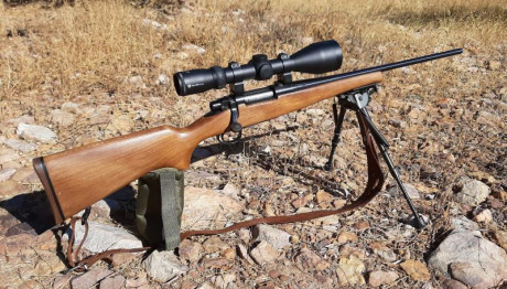 Vendo Remington Seven en calibre 243 winchester en buen estado, con bases y anillas warne de acero y caja 00