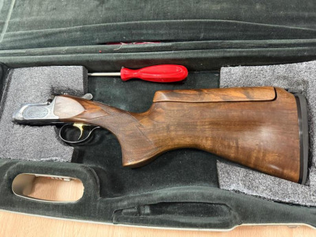 PONGO A LA VENTA PERAZZI MX2000/8 CON BANDAS 2008 2005 Y 2003 .CHOKE PERAZZI CAÑON INFERIOR Y 10 DECIMAS 00