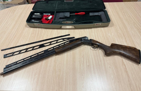 PONGO A LA VENTA PERAZZI MX2000/8 CON BANDAS 2008 2005 Y 2003 .CHOKE PERAZZI CAÑON INFERIOR Y 10 DECIMAS 21