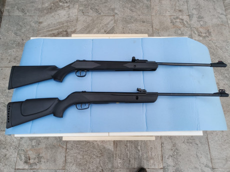 Buenas noches.

A finales del año pasado me hice con estas dos carabinas, de precio similar (la Gamo me 02