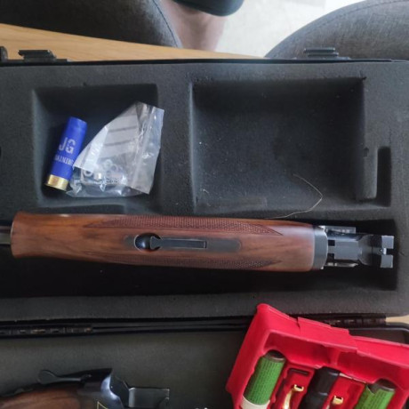 Vendo una browning ultra sporter, 71 de cañón chokes intercambiables gatillo regulable ,maletín y accesorios.
Lleva 41