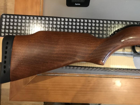 Carabina gamo cfx royal 4,5 practicamente nueva con visor gamo 02