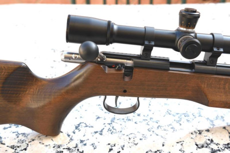 Por cese actividad, vendo carabina Anschutz 64 Sporter BR CB .22LR, con disparador 5098.
Único propietario. 01