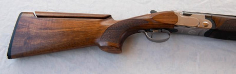 Por cese actividad vendo escopeta de plato Beretta 692 Trap para zurdo.
Único propietario. Perfecto estado 01