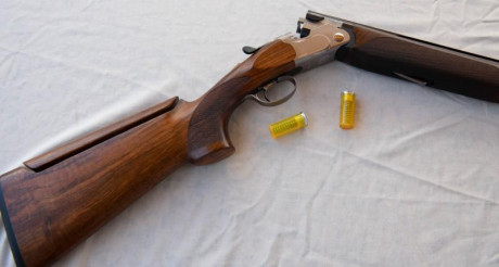 Por cese actividad vendo escopeta de plato Beretta 692 Trap para zurdo.
Único propietario. Perfecto estado 12