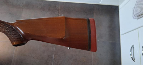 Hola, vendo Santa Barbara calibre 300 Win por no usar. El arma esta en Madrid, esta en buen estado, la 60