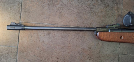 Hola, vendo Gamo HUNTER 890 calibre 4,5 (.177)
Muelle encamisado, sello nuevo. Perfecto el pavón y maderas, 92