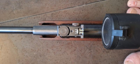Hola, vendo Gamo HUNTER 890 calibre 4,5 (.177)
Muelle encamisado, sello nuevo. Perfecto el pavón y maderas, 91