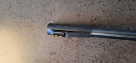Hola, vendo Gamo HUNTER 890 calibre 4,5 (.177)
Muelle encamisado, sello nuevo. Perfecto el pavón y maderas, 90