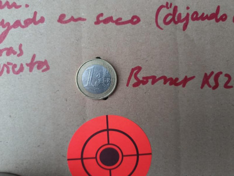 Buenas noches.

A finales del año pasado me hice con estas dos carabinas, de precio similar (la Gamo me 41