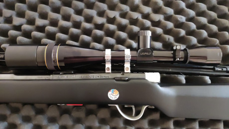 Dejo la mpdalidad y ofrezco este visor para sporter.
Leupold de 12 aumentos fijos
Esta en la provincia 01
