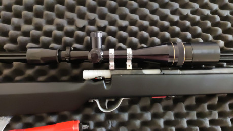 Dejo la mpdalidad y ofrezco este visor para sporter.
Leupold de 12 aumentos fijos
Esta en la provincia 00