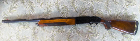 Se vende Escopeta semiautomatica Beretta A302.

-Cañon de 5* con rosca ( Adjunto choke del 1*)
-Maderas 01