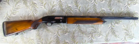 Se vende Escopeta semiautomatica Beretta A302.

-Cañon de 5* con rosca ( Adjunto choke del 1*)
-Maderas 00