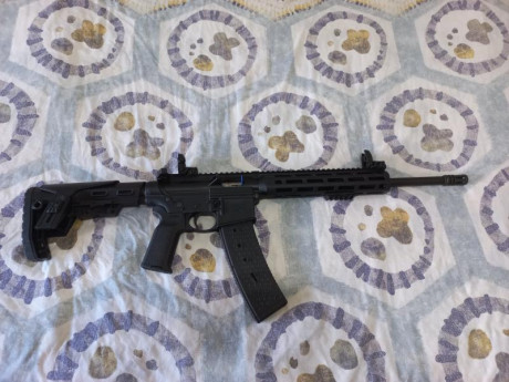 Vendo carabina S&W M&P 15, cal. 22 LR, de reestreno, único propietario y con solo 100 disparos 12
