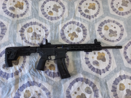 Vendo carabina S&W M&P 15, cal. 22 LR, de reestreno, único propietario y con solo 100 disparos 11