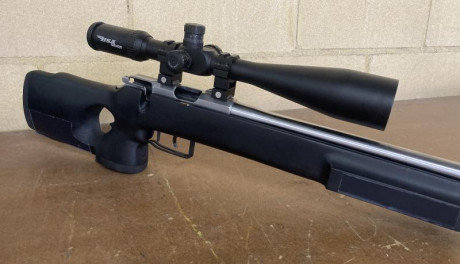 Amigo club VENDE carabina 22lr TOZ TYPHOON con visor BSA 10-40x56. Para BR o FCLASS. Disparador con gatillo 11