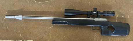Amigo club VENDE carabina 22lr TOZ TYPHOON con visor BSA 10-40x56. Para BR o FCLASS. Disparador con gatillo 20