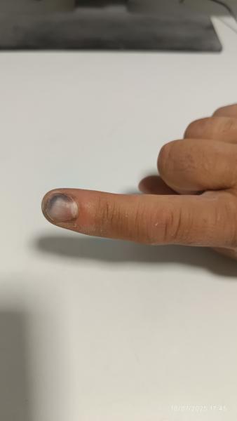 A veces los admiradores de la auto-5 podemos parecer exagerados a vista de los demás y lo comprendo, pero 171