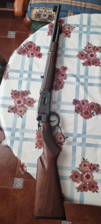 Buenos dias compañeros, tengo una duda yo cazo el jabali en mano y al salto y voy de perrero siempre, 130