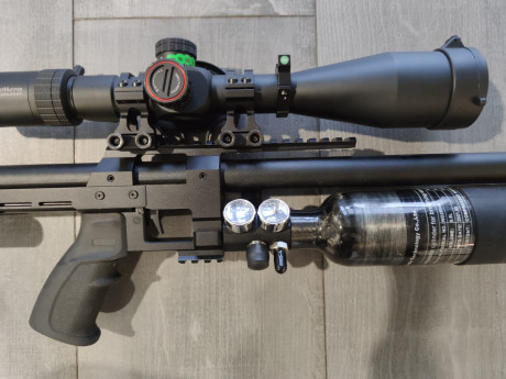 Vendo mi RTI Prophet, calibre .25 con 6 cargadores , regalo power plenum 780 , en perfecto estado , como 00