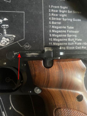 Buenos días compañeros de armas,

Tengo una S&W Modelo 41 que compré de segunda mano y que va bastante 10