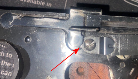 Buenos días compañeros de armas,

Tengo una S&W Modelo 41 que compré de segunda mano y que va bastante 40