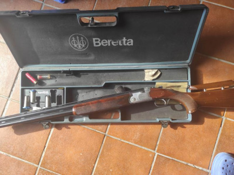 Vendo Beretta S 686 especial. 75 cm de cañones. Cinco polichoques, estuche, culata regulable.
800 € 02