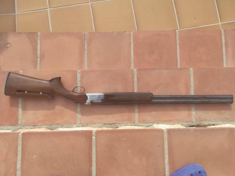 Vendo Beretta S 686 especial. 75 cm de cañones. Cinco polichoques, estuche, culata regulable.
800 € 01