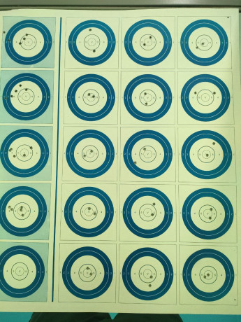 Buenas tardes.

En todos los campeonatos de Fclass rimfire que se celebran, se compite en dos modalidades; 41