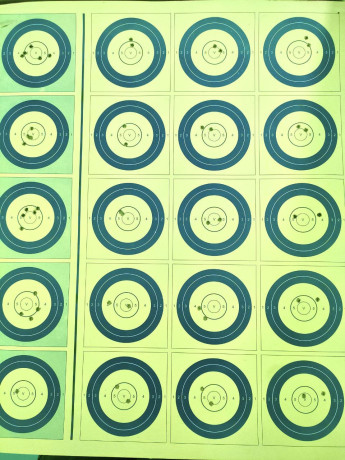 Buenas tardes.

En todos los campeonatos de Fclass rimfire que se celebran, se compite en dos modalidades; 40