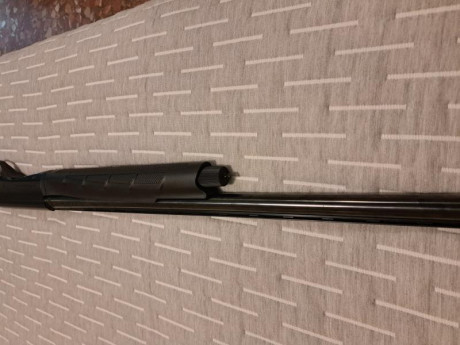 Se vende Benelli Montefeltro sintética.
En bastante buen estado, casi nueva.
Cañon de 71cm.
5 crio chokes 01