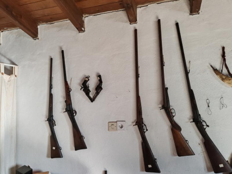 ante la dificultad para seguir manteniendo en condiciones las armas he decidio deshacerme de una pequeña 10