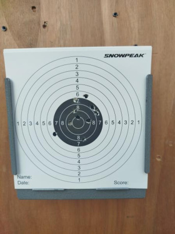 no la conozco, pero sinceramente tiene buena pinta, parece como una steyr y por los precios que la he 131