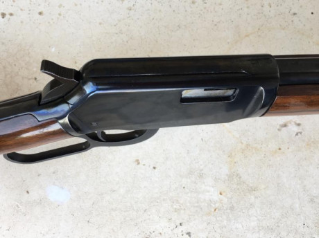 SE VENDE CARABINA WINCHESTER MODELO 9422 EN CALIBRE .22 LR. 
ESTADO DE CONSERVACIÓN IMPECABLE TANTO MADERAS 32