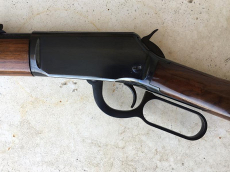 SE VENDE CARABINA WINCHESTER MODELO 9422 EN CALIBRE .22 LR. 
ESTADO DE CONSERVACIÓN IMPECABLE TANTO MADERAS 41