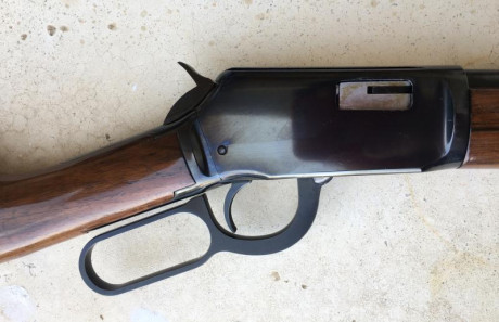 SE VENDE CARABINA WINCHESTER MODELO 9422 EN CALIBRE .22 LR. 
ESTADO DE CONSERVACIÓN IMPECABLE TANTO MADERAS 40