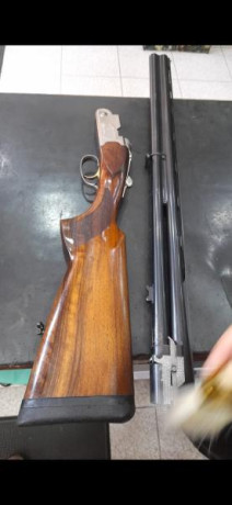 Hola ,

Saque mi licencis y voy a comprar una escopeta,me recomendaron que para empezar a tirar al Plato 00