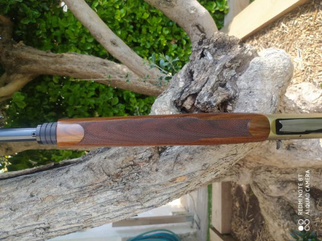  Buenas tardes

Pongo en venta una escopeta Browning modelo A5 Ultimate Partridges

Cañón de 71 cm
Calibre 30