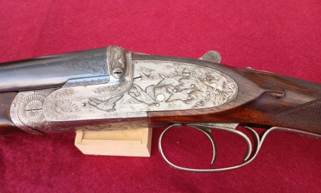 Venta, Victor Sarrasqueta Mod 213

Cal 12/70 Largo cañones 70,5 Cm Acero Globo 
Choques  Izdo. 17,5/18,5 02