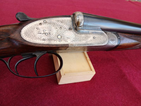 Vendo Victor Sarrasqueta Mod 215 cuatro pilares Purdey 

Cal 12/70  largo de cañones 75,5 Cm Acero especial 02