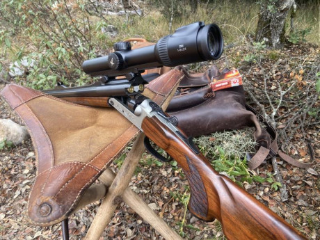 Precioso rifle express paralelo en calibre 9,3x74R. regulables en convergencia para un óptimo centrado 51