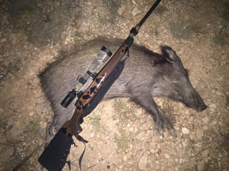 Rifle Browning Bar 2 en calibre 30-06, con monturas akah y visor Bushnell con retícula iluminada de 1,5-6x42. 60