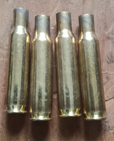 Lote 500 vainas 222 Remington, marca Sellier Bellot, un disparo con fusil cerrojo, conservan fulminante 01