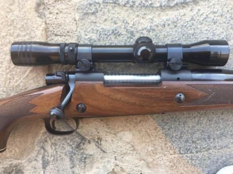 EN VENTA RIFLE WINCHESTER MODELO 70 EN EL DESEADO CALIBRE .375 HOLLAND & HOLLAND MAGNUM, CON MIRA 10
