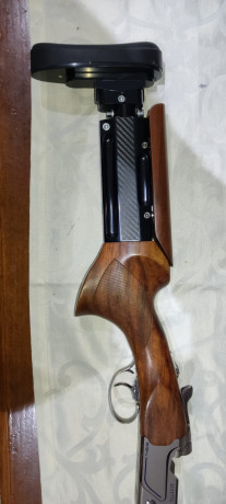 Hola!
Cedo una Beretta 694 Cal. 12 con cañón de 81 cm. y culata articulada Goodshoot Pro. Diestro. La 01